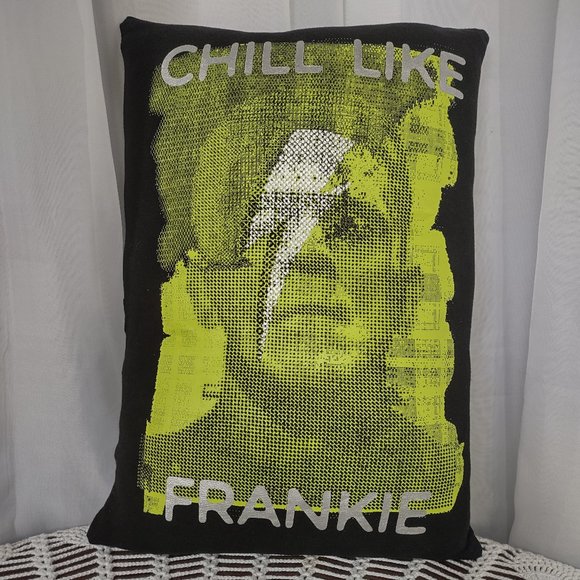 Rag Frog Revival Throw pillow COVER ONLY made from Upcycled T-shirt size 11"x14" - Picture 3 of 4